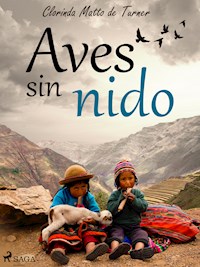 Aves sin nido - Clorinda Matto de Turner - E-Book