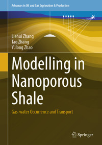 Modelling in Nanoporous Shale - Liehui Zhang - E-Book