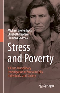 Stress and Poverty - Michael Breitenbach - E-Book
