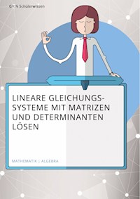 Lösen linearer Gleichungssysteme mithilfe von Matrizen und Determinanten - Hannes Kroke - E-Book