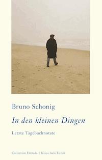 In den kleinen Dingen - Bruno Schonig - E-Book