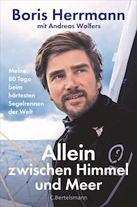 Allein zwischen Himmel und Meer - Boris Herrmann - E-Book