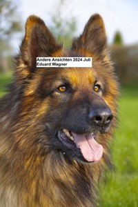 Andere Ansichten Juli 2024 - Eduard Wagner - E-Book