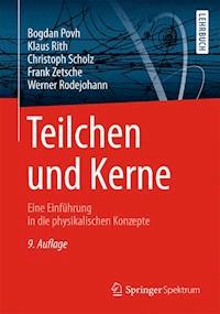Teilchen und Kerne - Bogdan Povh - E-Book