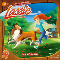 Folgen 1-3: Im Schneesturm - Irene Timm - Hörbuch