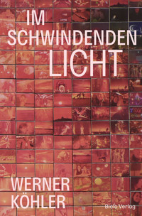 Im schwindenden Licht - Werner Köhler - E-Book