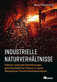 Industrielle Naturverhältnisse - Jana Flemming - E-Book
