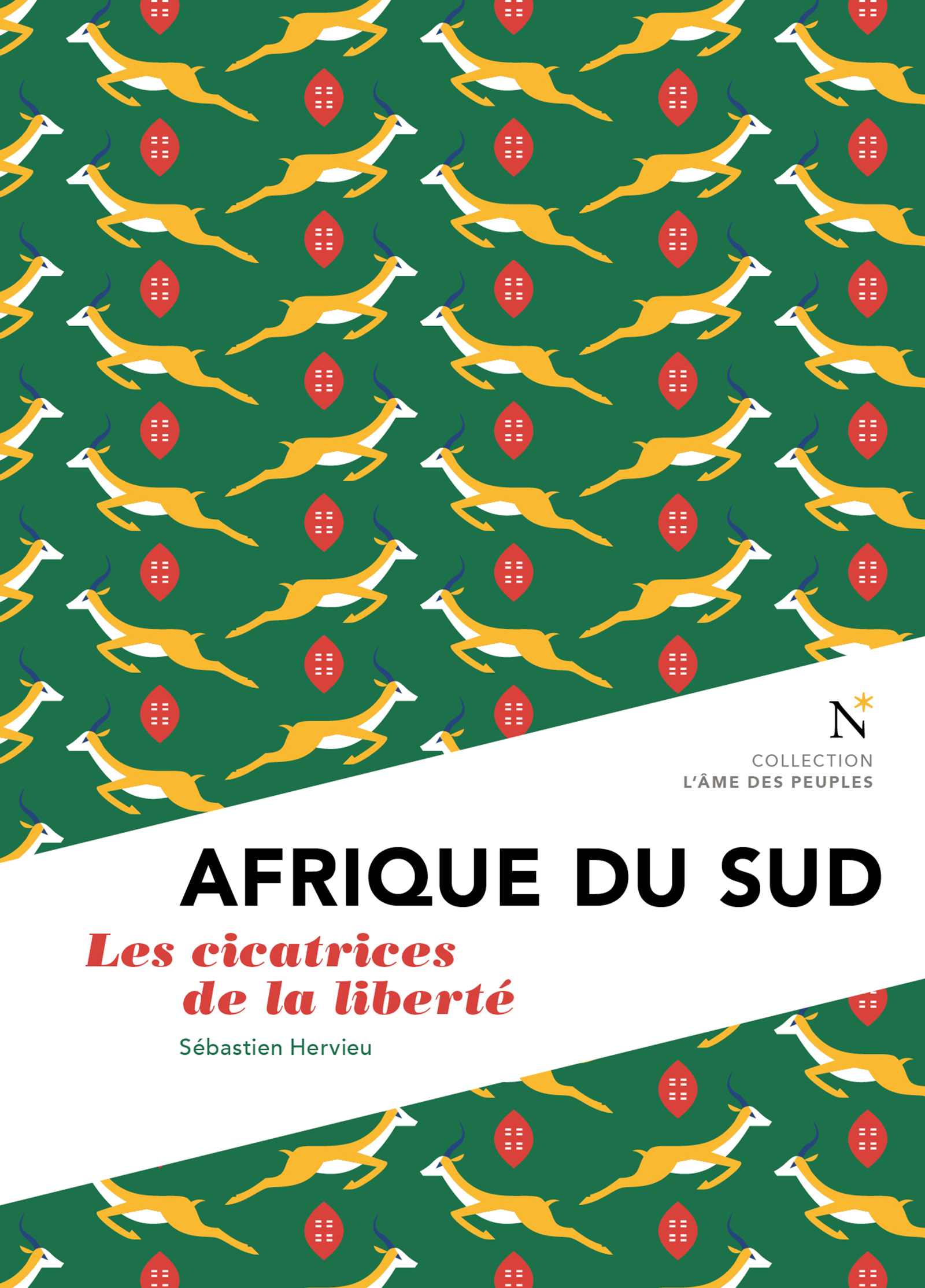 Afrique du Sud - Sébastien Hervieu - E-Book
