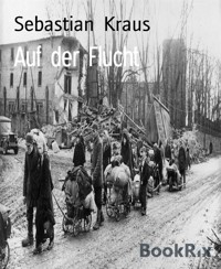 Auf der Flucht - Sebastian Kraus - E-Book