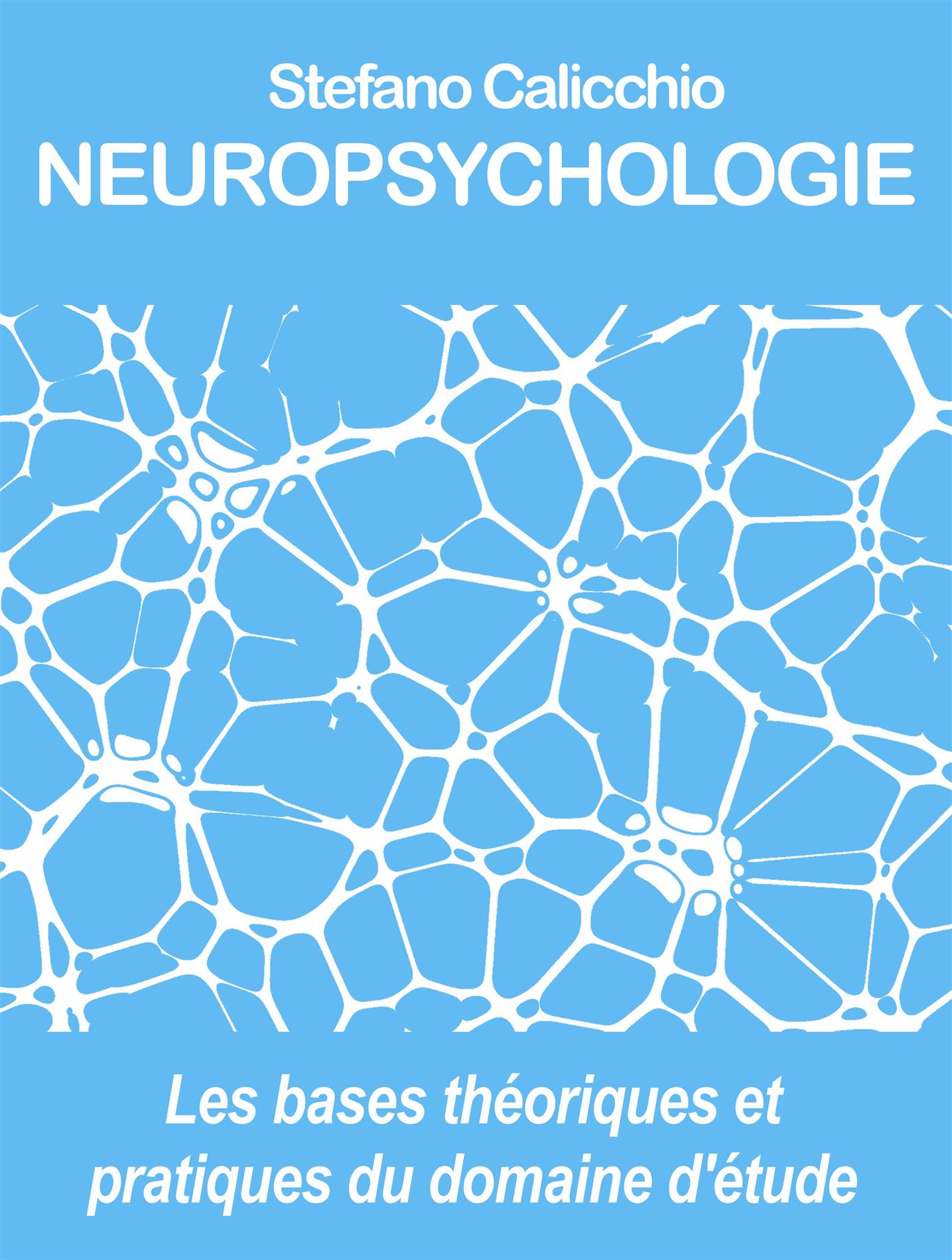 Neuropsychologie - Stefano Calicchio - E-Book