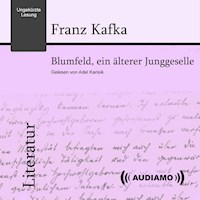 Blumfeld, ein älterer Junggeselle - Franz  kafka - Hörbuch