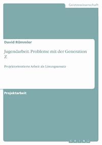 Jugendarbeit. Probleme mit der Generation Z - David Rümmler - E-Book
