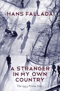 A Stranger in My Own Country - Hans Fallada - E-Book