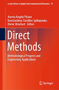 Direct Methods -  - E-Book