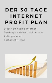 Der 30 Tage Internet Profit Plan - Andre Sternberg - E-Book