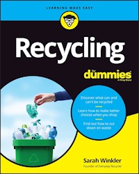 Recycling For Dummies - Sarah Winkler - E-Book