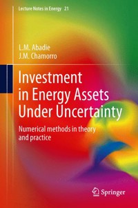 Investment in Energy Assets Under Uncertainty - L.M. Abadie - E-Book