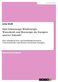 Sind Solarenergie, Windenergie, Wasserkraft und Bioenergie die Energien unserer Zukunft? - Lena Groß - E-Book