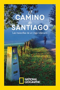 El Camino de Santiago - Varios autores - E-Book
