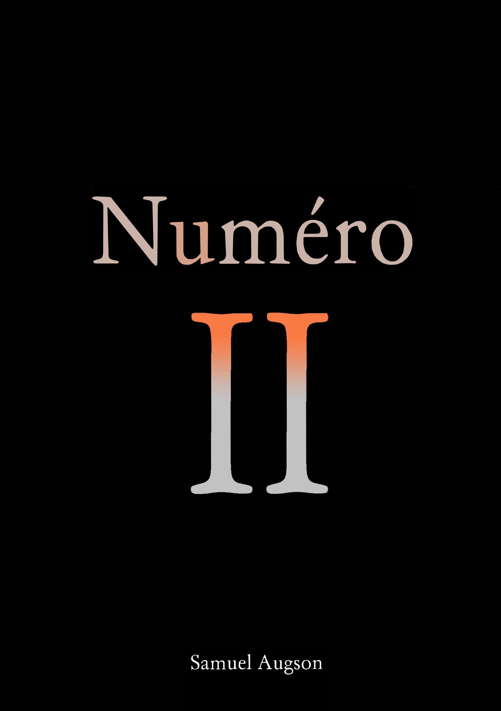 Numéro II - Samuel Augson - E-Book