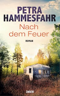 Nach dem Feuer - Petra Hammesfahr - E-Book