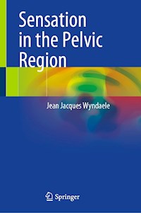 Sensation in the Pelvic Region - Jean Jacques Wyndaele - E-Book