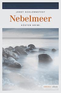 Nebelmeer - Jobst Schlennstedt - E-Book