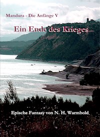 Ein Ende des Krieges - Nicole Heuer-Warmbold - E-Book