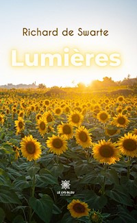 Lumières - Richard de Swarte - E-Book