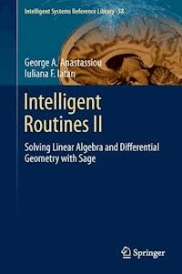 Intelligent Routines II - George A. Anastassiou - E-Book