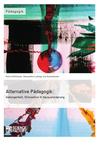 Alternative Pädagogik: Geborgenheit, Stimulation & Herausforderung - Petra Hoffmann - E-Book