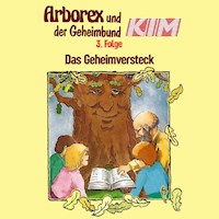 03: Das Geheimversteck - Erika Immen - Hörbuch