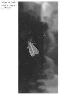Auf einen Sprung an's Fenster - Sebastian Maile - E-Book