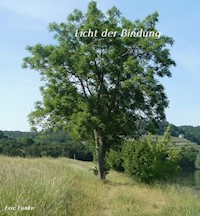 Licht der Bindung - Eric Funke - E-Book