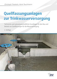 Quellfassungsanlagen zur Trinkwasserversorgung - Christoph Treskatis - E-Book