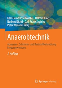 Anaerobtechnik -  - E-Book