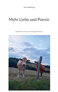 Mehr Liebe und Poesie - Jan Frederking - E-Book