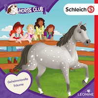 Folge 11: Geheimnisvolle Träume - Antje Seibel - Hörbuch