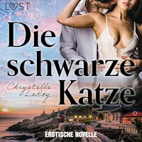 Die schwarze Katze - Erotische Novelle - Chrystelle LeRoy - Hörbuch