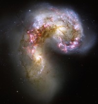 Mont Joie - Steven Soucy - E-Book