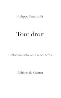 Tout droit - Philippe Paternolli - E-Book