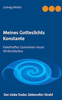 Meines Gotteslichts Konstante - Ludwig Weibel - E-Book