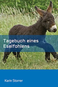 Tagebuch eines Eselfohlens - Karin Storrer - E-Book