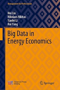 Big Data in Energy Economics - Hui Liu - E-Book