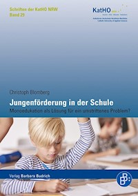 Jungenförderung in der Schule - Christoph Blomberg - kostenlos E-Book