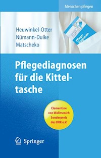 Pflegediagnosen für die Kitteltasche - Annette Heuwinkel-Otter - E-Book