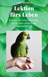Lektion fürs Leben - Andre Sternberg - E-Book