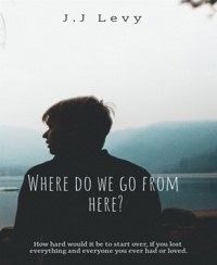 Where do we go from here? - Janelle Levy - E-Book