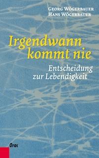Irgendwann kommt nie - Georg Wögerbauer - E-Book