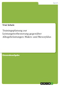 Trainingsplanung zur Leistungsverbesserung gegenüber Alltagsbelastungen. Makro- und Mesozyklus - Trixi Scholz - E-Book